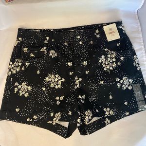 Brand new Daisy Floral Print high waisted shorts